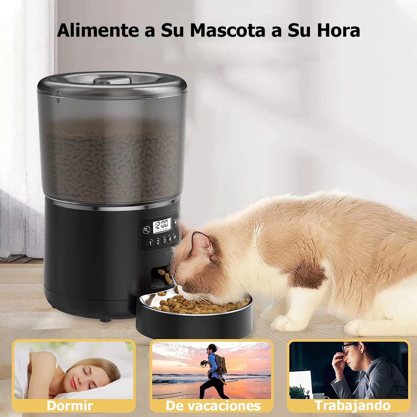 Distributeur Automatique de Croquettes 4L - Litiup Croqy