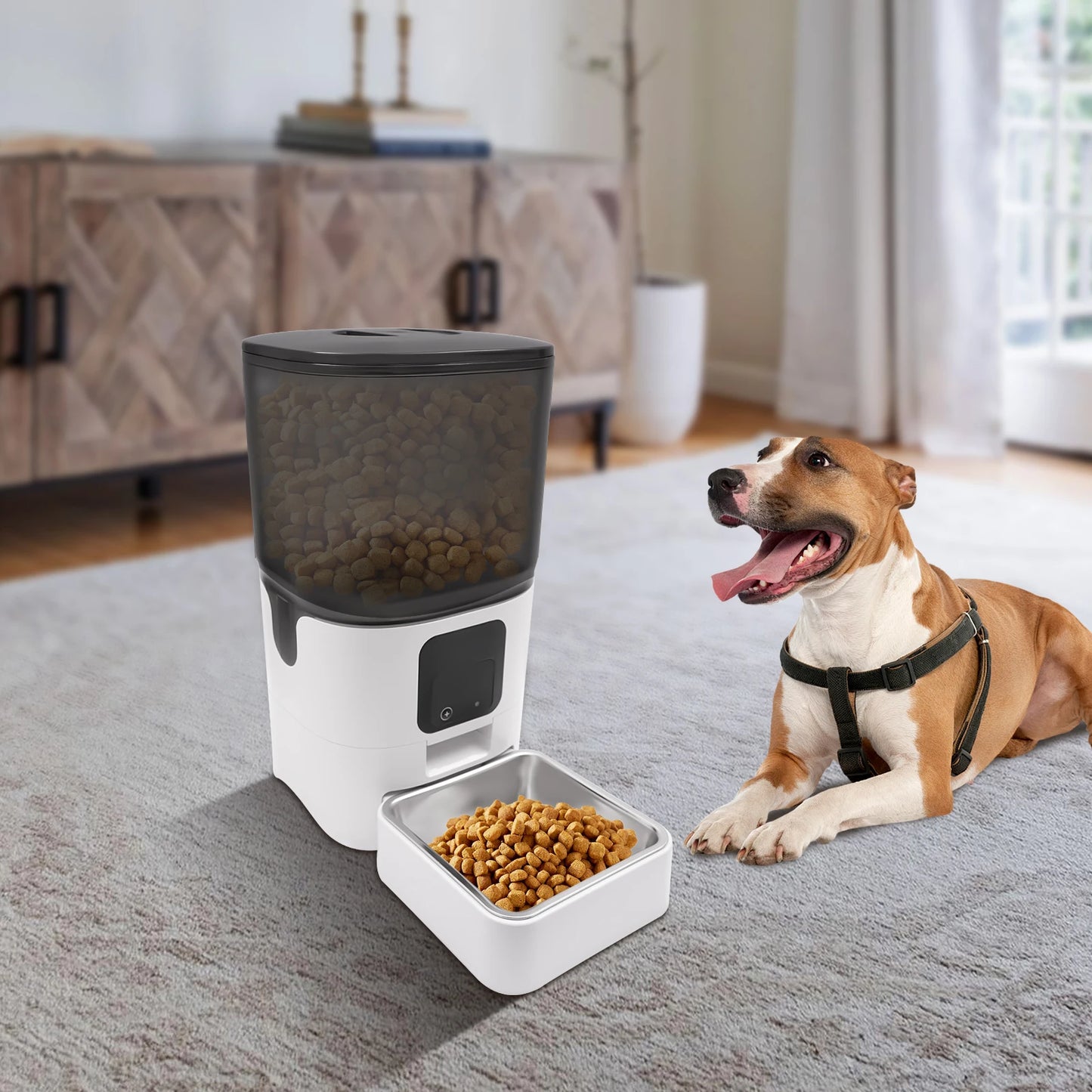 Distributeur Automatique Chat Connecté 6L - Litiup iCroqy