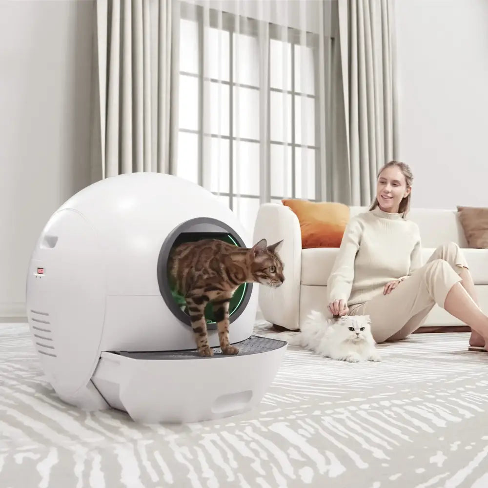 Litière autonettoyante automatique pour chat - LitiUp Neo